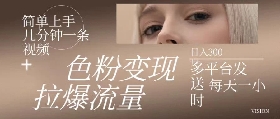 色粉变现，拉爆流量，简单上手几分钟一条视频，多平台发送每天一小时，日入300+ - 网创智汇