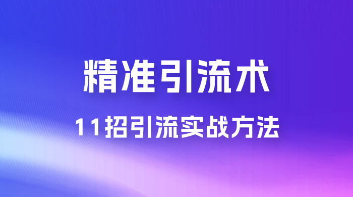 精准引流术：11 招引流实战方法，让你私域流量加到爆（共 11 课） - 网创智汇