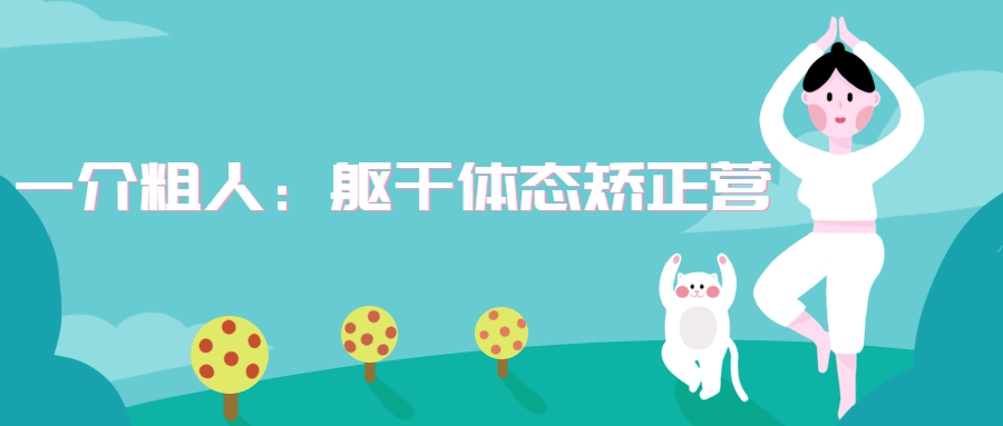 一介粗人：躯干体态矫正营 - 网创智汇