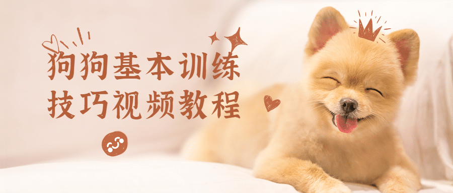 狗狗基本训练技巧视频教程 - 网创智汇