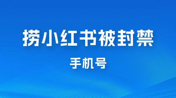 捞小红书被封禁手机号，小红书被封号禁言账号手机换绑 - 网创智汇