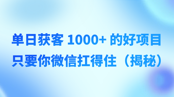 单日获客 1000+ 的好项目，只要你微信扛得住（揭秘） - 网创智汇