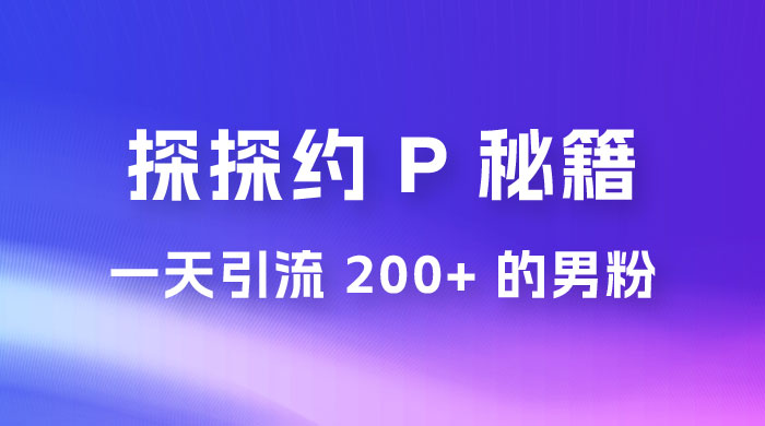 靠探探约 P 秘籍，一天引流 200+ 的男粉，日赚1000+，就是这么玩的 - 网创智汇