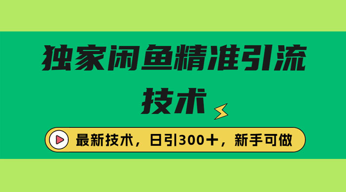 独家闲鱼引流技术，日引 300+ 实战玩法 - 网创智汇