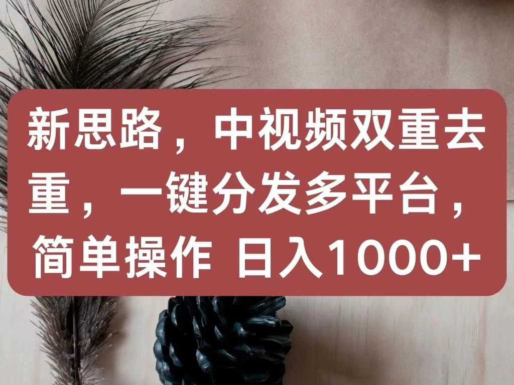 新思路，中视频双重去重，一键分发多平台，简单操作，日入1000+！快来试试吧！ - 网创智汇