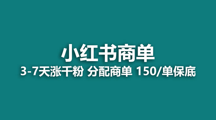 2023最强蓝海项目，小红书商单项目，没有之一 - 网创智汇