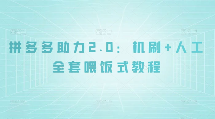 拼夕夕助力 2.0 新玩法：机刷+人工全套交付，喂饭式教程 - 网创智汇