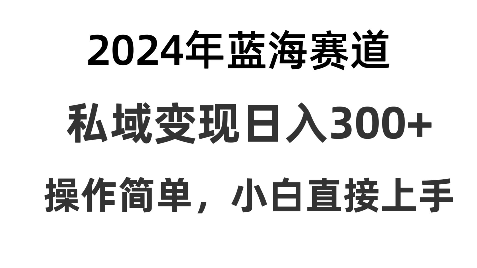 2024抖音蓝海赛道，私域变现日入300+，操作简单，每年只需一小时，纯小白可直接上手 - 网创智汇
