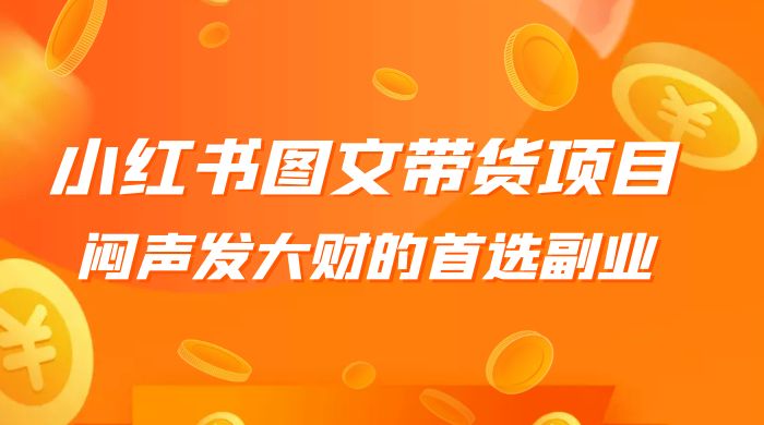 小红书图文带货项目：利润非常巨大，闷声发大财的首选副业 - 网创智汇