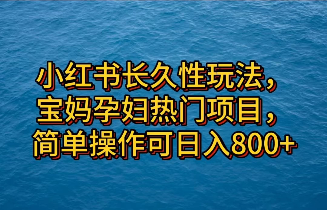 小红书长久性玩法，宝妈孕妇热门项目，简单操作可日入800+ - 网创智汇