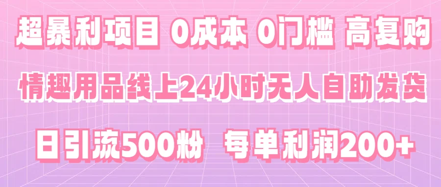 超暴利项目，情趣用品线上24小时-无人自助发货，0成本，0门槛，高复购，有手就能做，日引500粉，每单利润200+ - 网创智汇