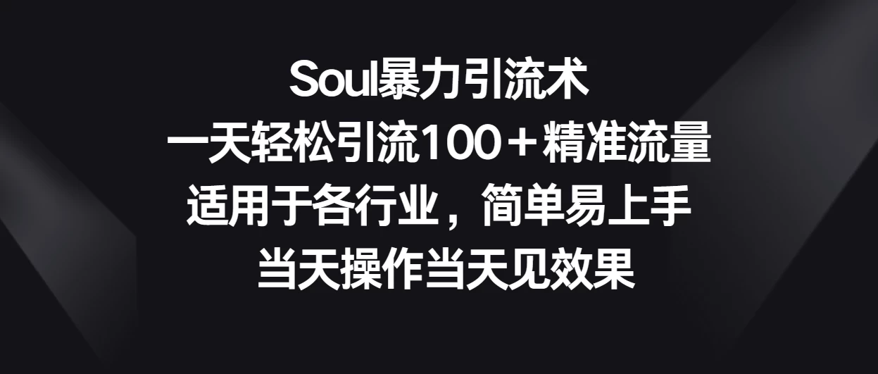 Soul暴力引流术，一天轻松引流100＋精准流量，适用于各行业，简单易上手 当天操作当天见效果 - 网创智汇