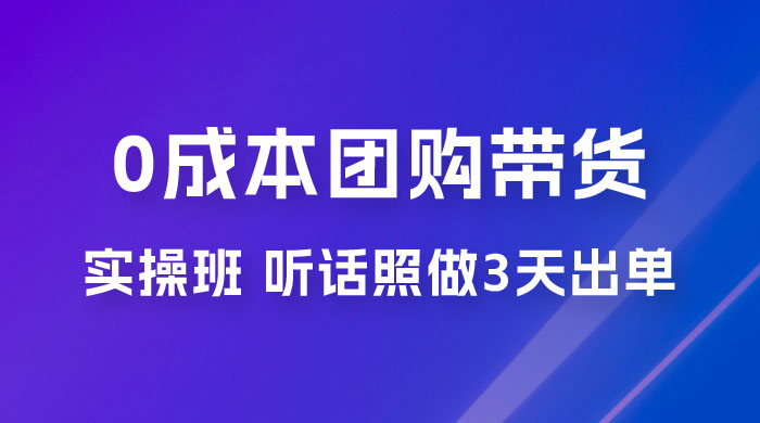点金手 0 成本团购带货实操班，听话照做 3 天出单 - 网创智汇