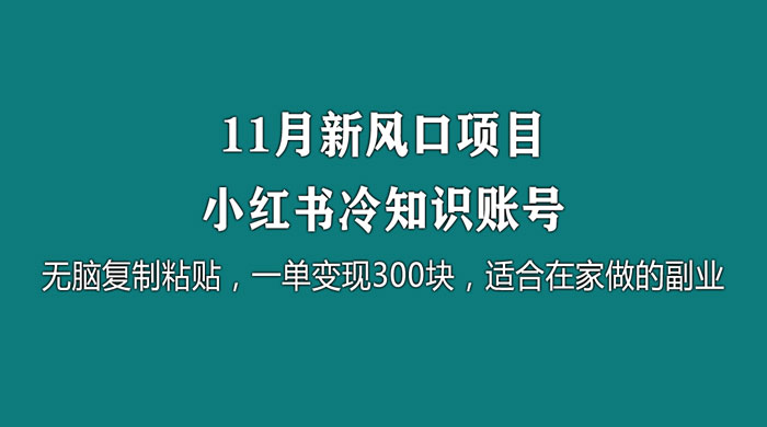 11 月新风口项目，小红书冷知识账号，无脑复制粘贴，一单变现 300 块，适合在家做的副业 - 网创智汇