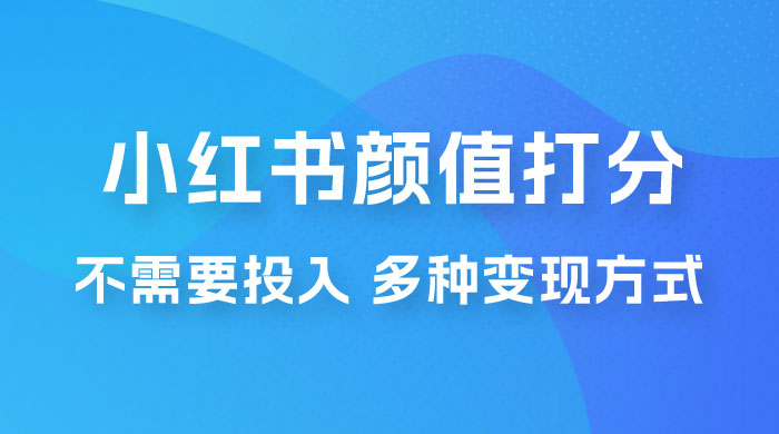 小红书颜值打分新玩法，不需要投入，适合所有人的一份副业，多种变现方式！ - 网创智汇