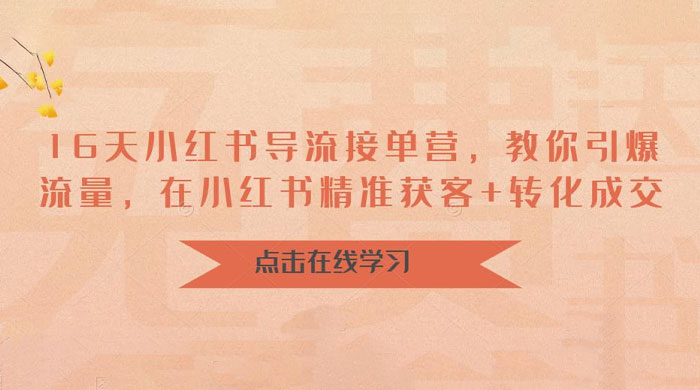 16 天小红书导流接单营：教你引爆流量，在小红书精准获客+转化成交 - 网创智汇