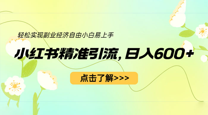 小红书精准引流：轻松实现副业经济自由（教程 + 1153G 资源） - 网创智汇