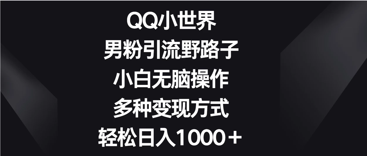 QQ小世界男粉引流野路子，小白无脑操作，多种变现方式轻松日入1000＋ - 网创智汇