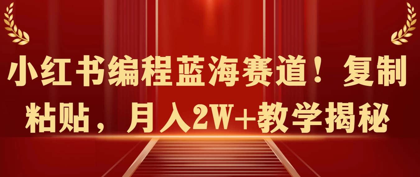 小红书编程蓝海赛道！复制粘贴，月入2W+教学揭秘 - 网创智汇
