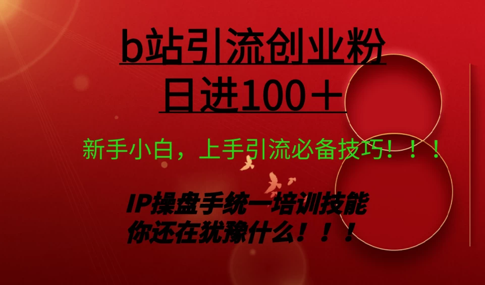 日引创业粉 100+ b 站全套打法【实操教学】不容错过 - 网创智汇