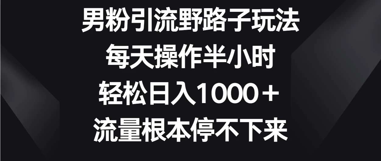 男粉引流野路子玩法，每天操作半小时轻松日入1000＋，流量根本停不下来 - 网创智汇