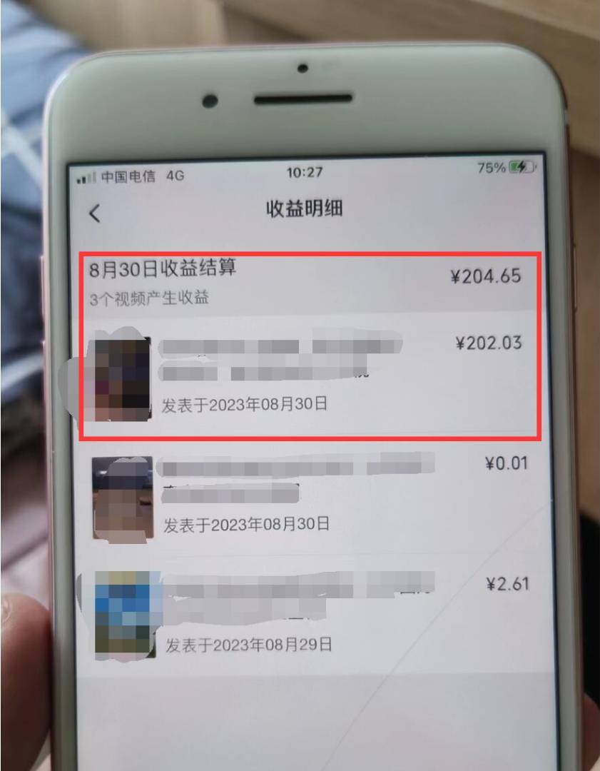 图片[6] - 视频号流量变现副业训练营 1.0，有播放就有收益，适合小白的副业项目 - 网创智汇