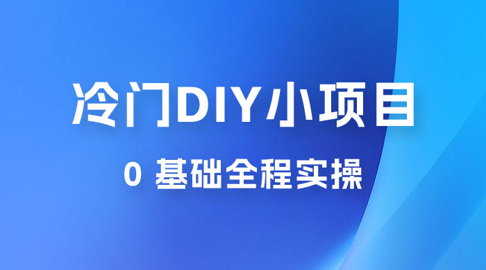 日入几百的冷门 DIY 小项目 0 基础全程实操 - 网创智汇