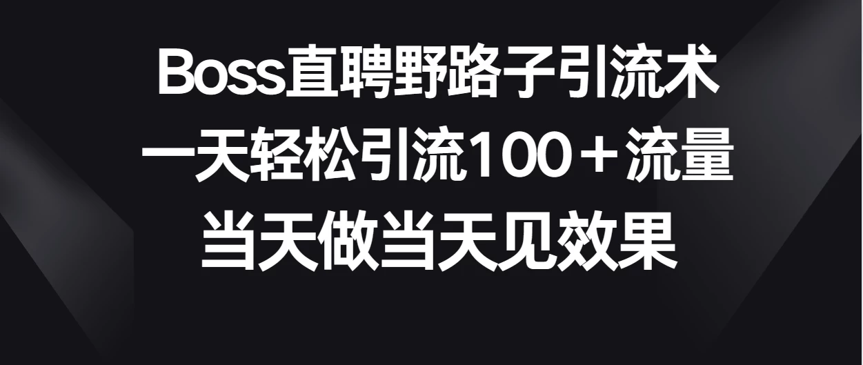 Boss直聘野路子引流术，一天轻松引流100+流量，当天做当天见效果 - 网创智汇