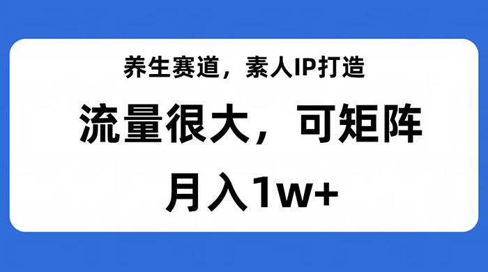 养生赛道，素人IP打造，流量很大，可矩阵，月入1w+ - 网创智汇