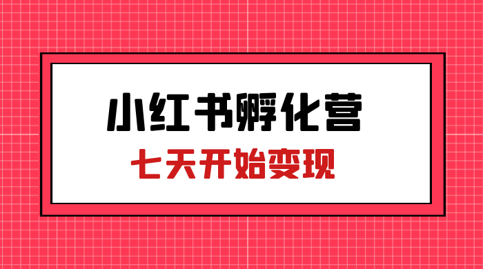 价值 2000+ 的小红书孵化营项目，超级大蓝海，七天即可开始变现，稳定月入 1W+ - 网创智汇