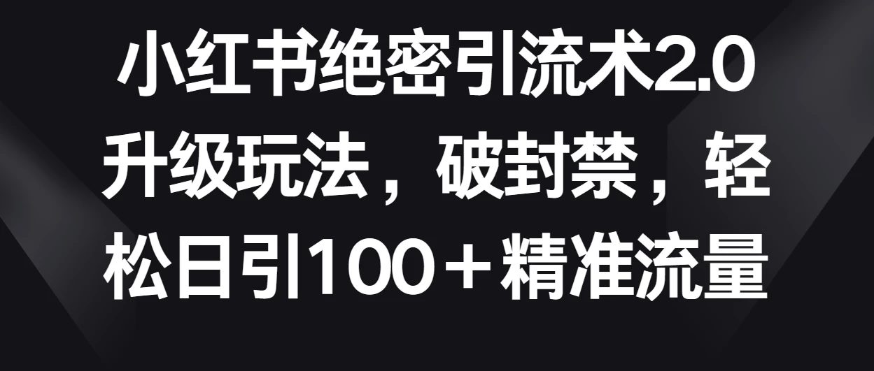 小红书绝密引流术2.0升级玩法，破封禁，轻松日引100＋精准流量 - 网创智汇