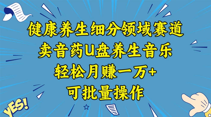 健康养生细分领域赛道，卖音药U盘养生音乐，轻松月赚一万+，可批量操作 - 网创智汇