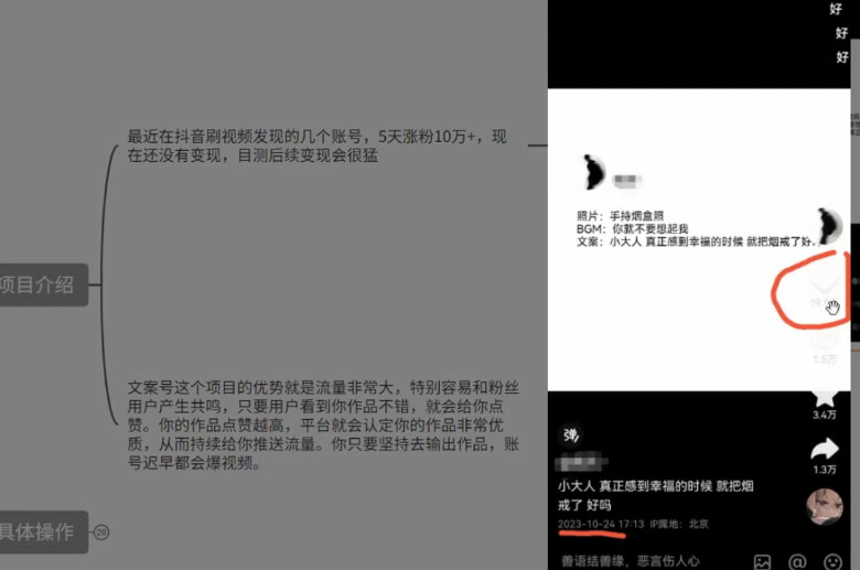 图片[2] - 最新抖音暴力文案号，五天涨粉 10w+，喂饭级拆解教学 - 网创智汇