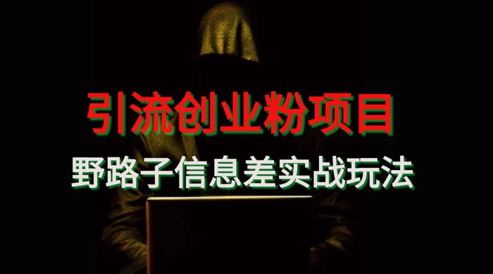 野路子信息差玩法实战教学，引流创业粉 - 网创智汇