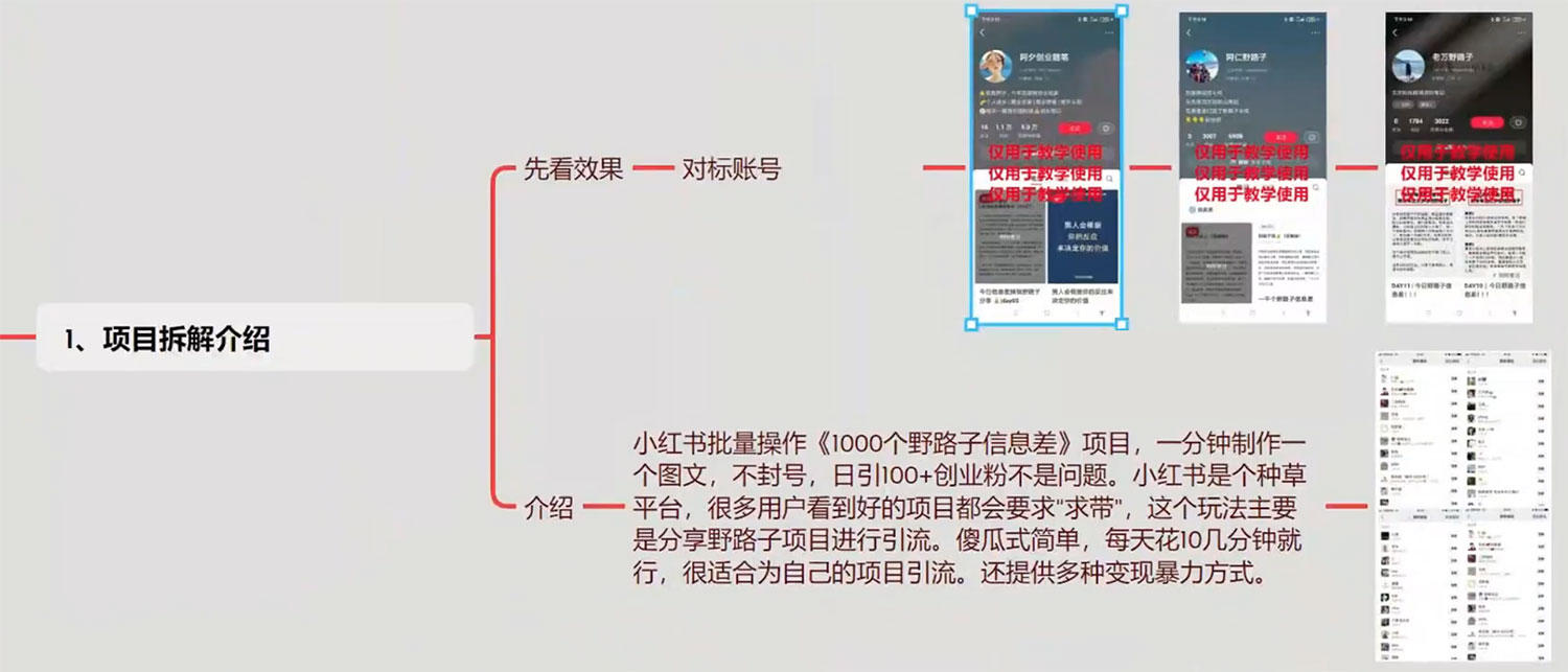 图片[2] - 小红书批量操作《 1000 个野路子信息差》玩法，日引 100+ 创业粉，一分钟一个图文 - 网创智汇