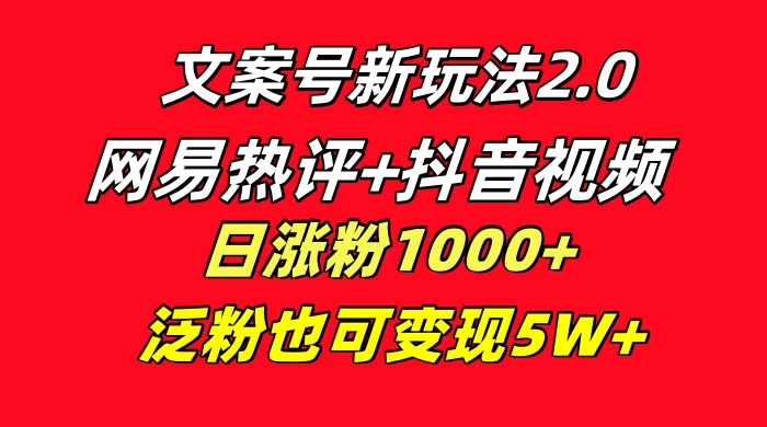 文案号新玩法，网易热评+抖音文案 一周轻松涨粉 5W+ 多种变现模式 - 网创智汇