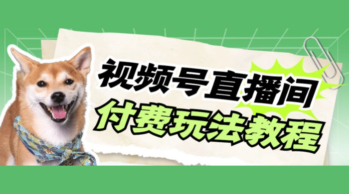 视频号美女付费无人直播，轻松日入500+（详细玩法教程） - 网创智汇