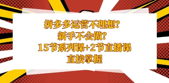 拼多多运营不理想？新手不会做？​15 节系列课+ 2 节直播课，直接掌握 - 网创智汇