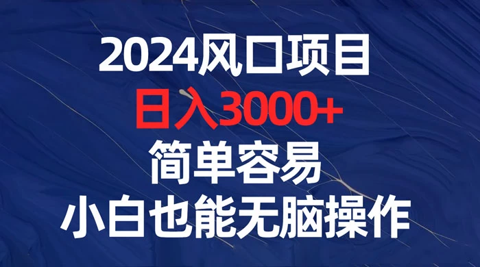2024 风口项目,日入 3000+,简单容易,小白也能无脑操作 - 网创智汇