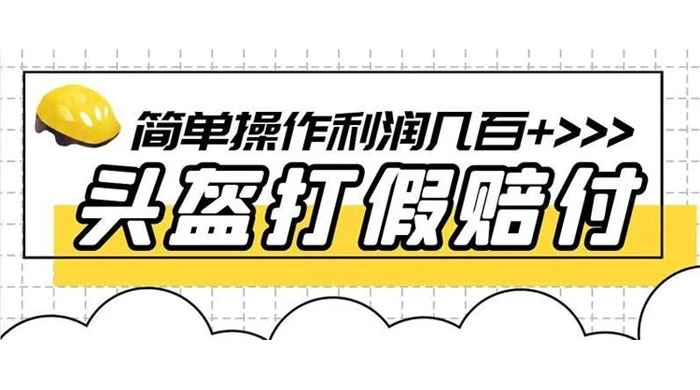 打假 3c 头盔项目，月入过万，小白有手就行 【揭秘】 - 网创智汇