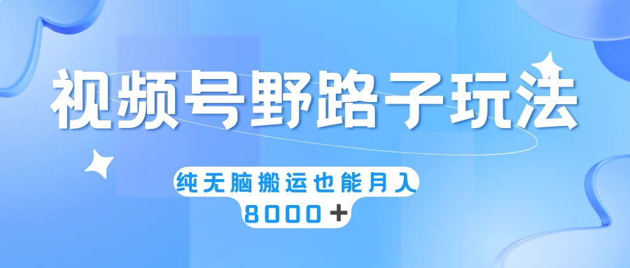 视频号野路子玩法，纯无脑搬运小白可做，月入8000+ - 网创智汇
