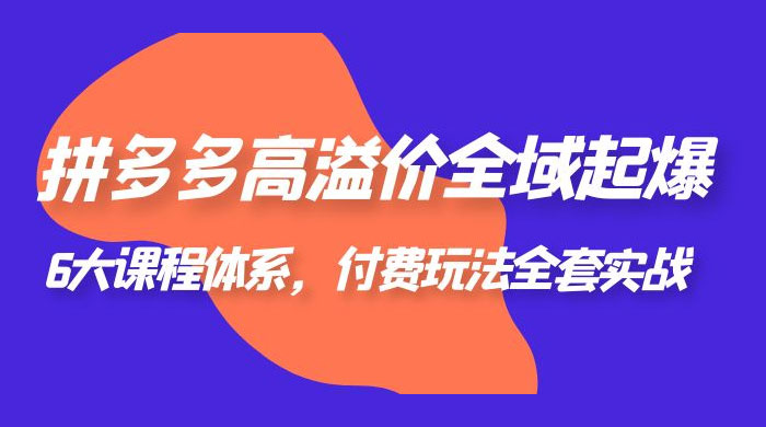 拼多多高溢价全域起爆：6 大课程体系，付费玩法全套实战 - 网创智汇
