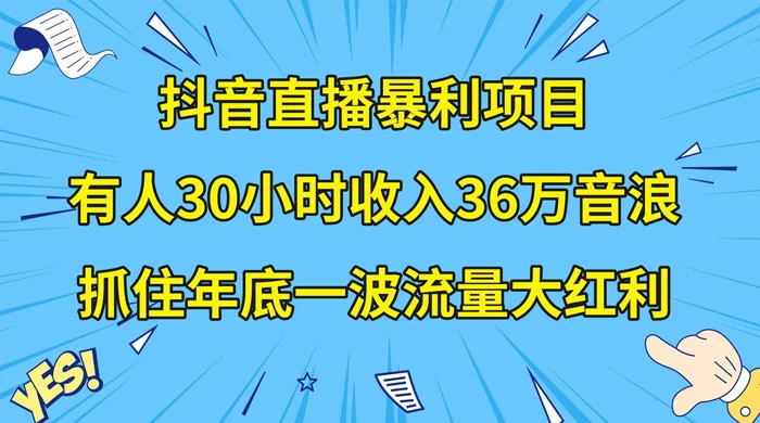 抖音直播暴利项目，有人 30 小时收入 36 万音浪，公司宣传片年会视频制作，抓住年底一波流量大红利 - 网创智汇