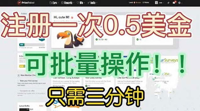 国外注册一次 0.5 美金项目：只需三分钟无脑操作、小白工作室福利 - 网创智汇