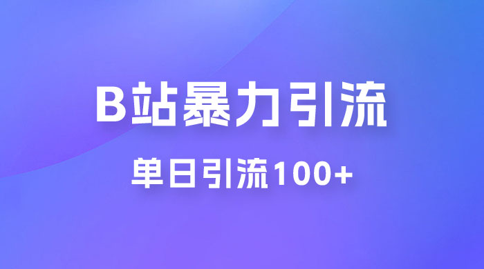 B 站暴力引流新玩法，单日引流 100+ - 网创智汇