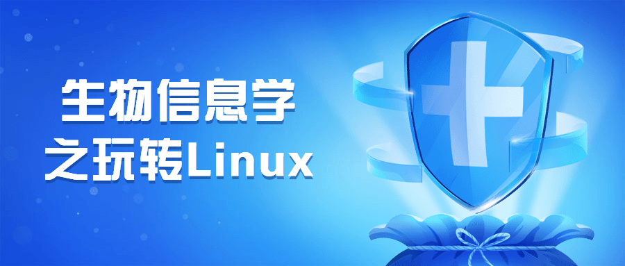 生物信息学之玩转Linux - 网创智汇