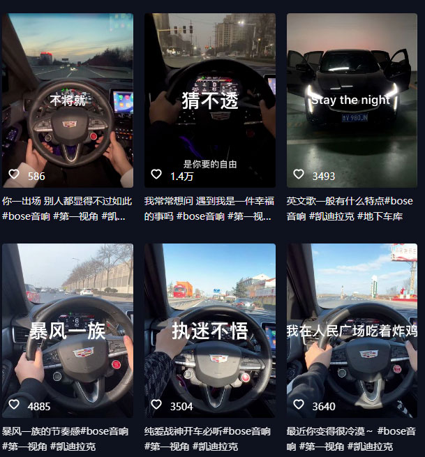 图片[2] - 抖音开车视频项目：0基础操作，每天五分钟，月入过万 - 网创智汇