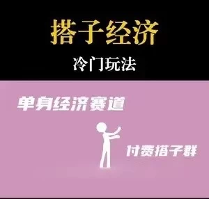 靠搭子经济月入5万每天两小时简单无脑好上手 - 网创智汇