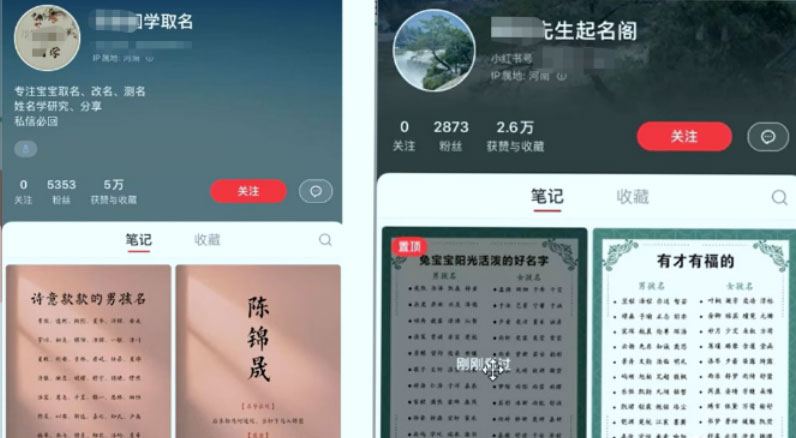 冷门暴利项目：给宝宝起名 一单 200+「教程+工具」 - 网创智汇