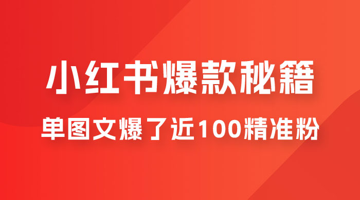 小红书单篇图文连爆秘籍，单图文爆了近 100 精准粉 - 网创智汇